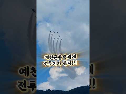 [2024 예천곤충축제] 17일 토요일!!! 곤충축제에 블랙이글스가 뜬다!!! #shorts