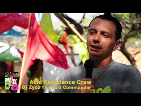 ACID RESISTANCE BEACH FESTIVAL 2013