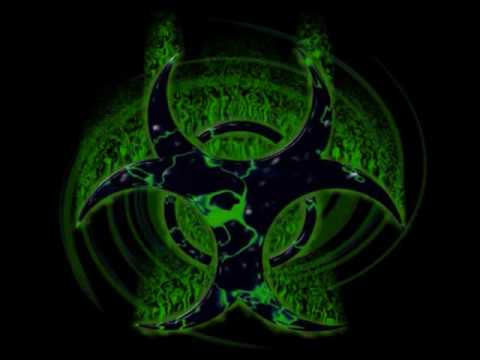 Public Enemy Ft Zakk Wylde- Bring the Noise 20xx- Toxic Assasin