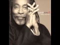 Bobby McFerrin -- "Joshua"
