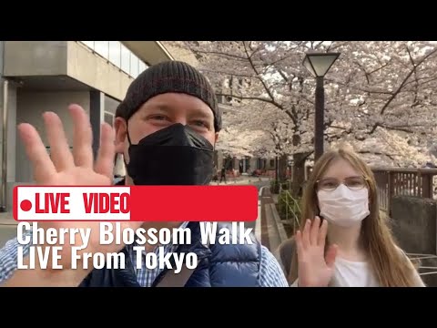 Japan Sakura Walk: Cherry Blossom Season ARRIVED in Tokyo's Iconic Nakameguro Neighborhood!