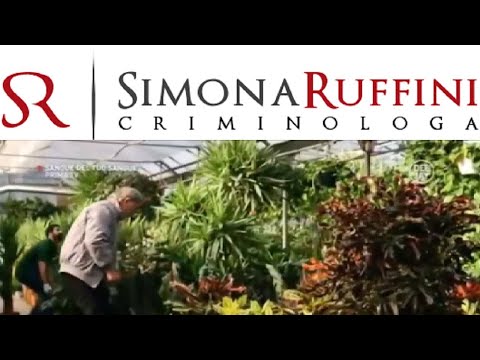 Sangue del tuo Sangue - Stagione 1 - Una famiglia a pezzi