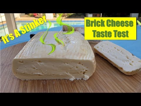 download lagu mp3 mp4 Wisconsin Brick Cheese Vs Mozzarella, download lagu Wisconsin Brick Cheese Vs Mozzarella gratis, unduh video klip Wisconsin Brick Cheese Vs Mozzarella