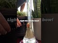 How To Smoke A Bong