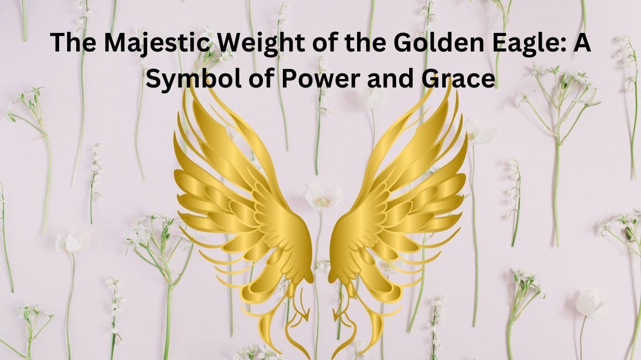 The Majestic Weight of the Golden Eagle: A Symbol of Power and Grace