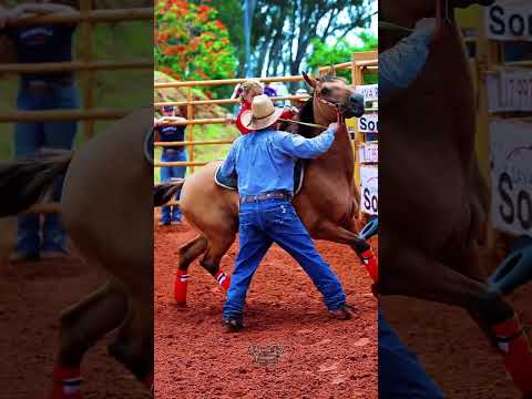 Natielly Malagutti Little Cowgirl #barrelracing