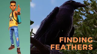 Best Crow and feather location in Grounded!  Bird not spawning?! Heres the fix!