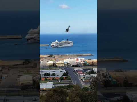 Cruise Ship Reverses Out Of Port Of Burnie Tasmania.#trending #shorts #merchantnavy #lifeatsea #ship