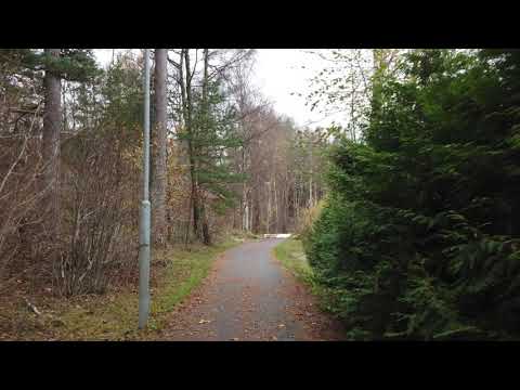 How to deal with performance issues in a legacy code base?