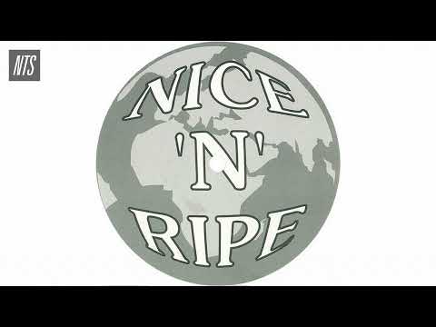 Nice 'N Ripe UK Garage and 2-Step Classics Mix 【 THE NTS GUIDE TO… 】