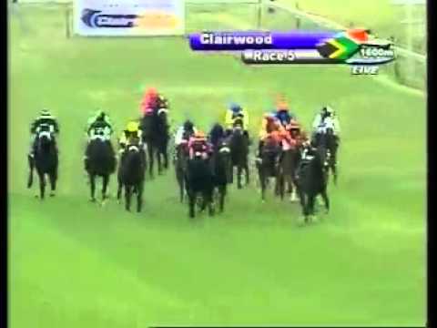 2012-12-15 Clairwood - race 5