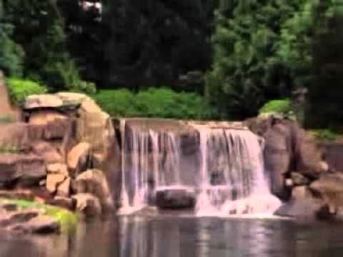 Mas Mbolo - Moritsko