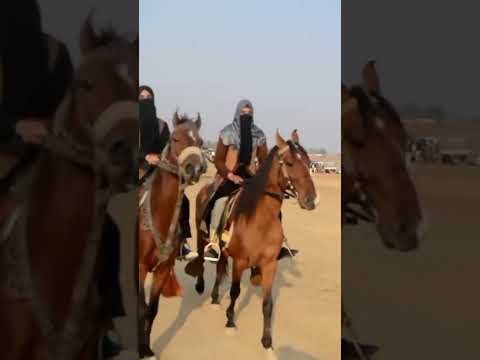 Naveera zainab And Hania Horse Riding 🏇🏻 #horse #horseridind #horseriding #horseridding #duet #