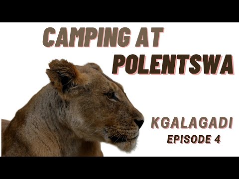 Kgalagadi | Camping at Polentswa