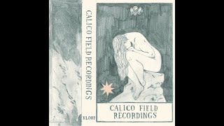 Calico Field Recordings – Calico Field Recordings (2013)