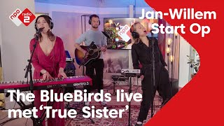 Bluebirds - True Sister video
