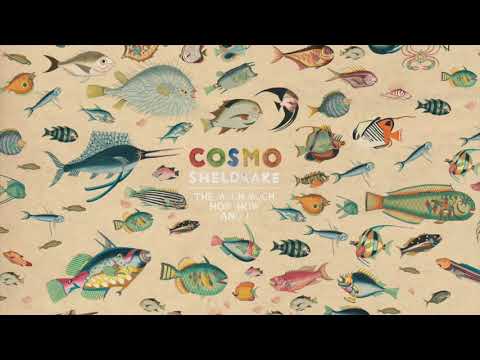 Cosmo Sheldrake - Birthday Suit (Instrumental)