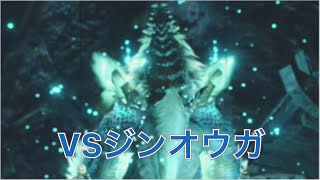 【モンスターハンターライズ】さらばナルガクルガ…狩猟笛縛り#21