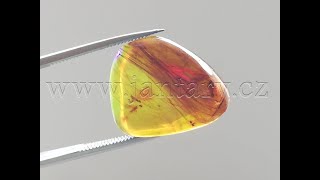   Křídový jantar B-230