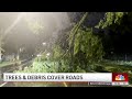 Strong winds, heavy rain leaves debris and damage across Chicago area