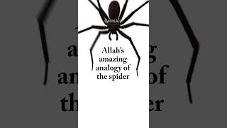 Download lagu #Quran analogy of the spider #Allah #Islam #islamic mp3