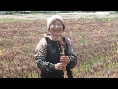 Welcome to Yutaka Farm