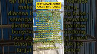 Download lagu settingan lomba kacer tipe panas ala pemula #shorts #kicaumania #burung #kacer #salamsatuhobi mp3