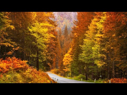 Beautiful Relaxing Music, Peaceful Soothing Instrumental Music, "Golden Autumn October" By Tim Janis