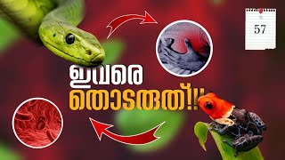 ഇവരെ തൊടരുത്.!|Top ten dangerous insects in the world|nia tv|nia wildlife| video