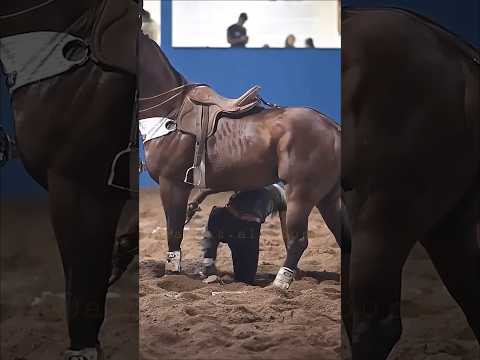 oh Gott, oh Gott!! Beweg dich, Mädchen!!!! #alk00n