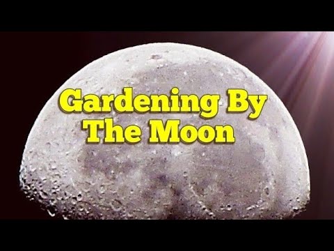 Gardening By Phases Of The Moon