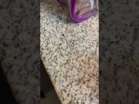 Wyndham Hotels And Resorts - Roaches - Image 3