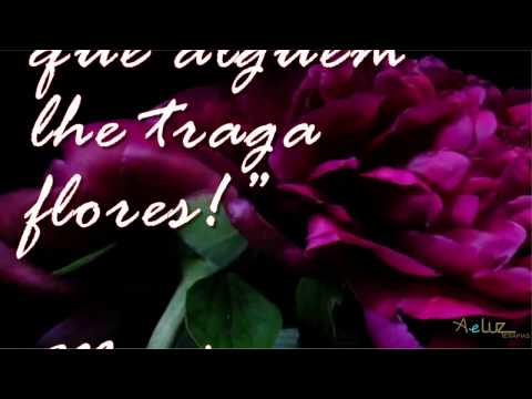 zapzap vídeo 1782 - Aeluz Terapias