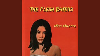 Miss Muerte (Edit)
