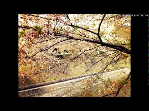 MOTH - Kaleidoscope // stripped noize - 2012