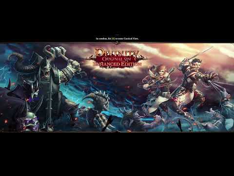 Divinity Original Sin Enhanced Edition | Co-Op | Part 9