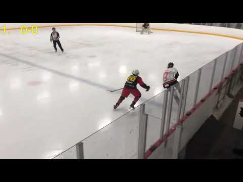 Jokerit White vs. KJT Haukat Blue, D1 AAA sarjaottelu, 16.11.2019 Myllypuro (2-2)