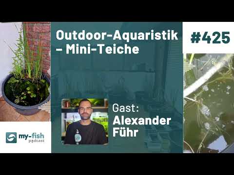 my-fish.org - Outdoor Aquaristics – Mini Ponds, Natural Keeping & Practical Tips (Alexander Führ)