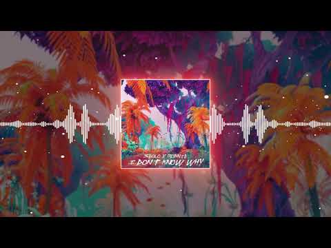 Seolo, RodNie - I Don't Know Why (Official Audio)