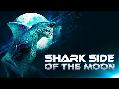trailer image