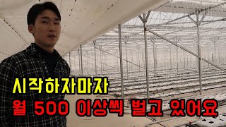 상추재배로 하루 5시간 일하고 월 500만원 버는 25살 농부 이야기