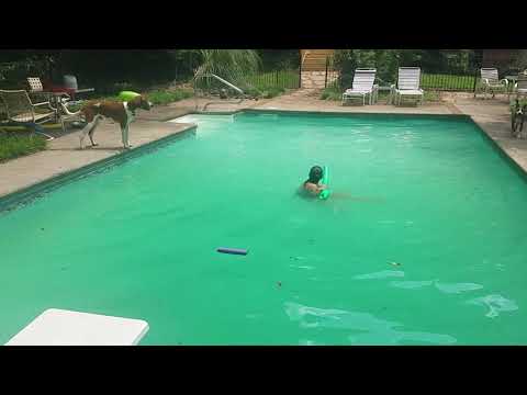 A water loving dog who also loves his mom
