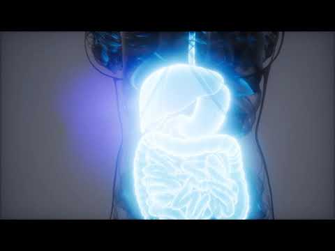 Koji su uzroci fenilketonurije?