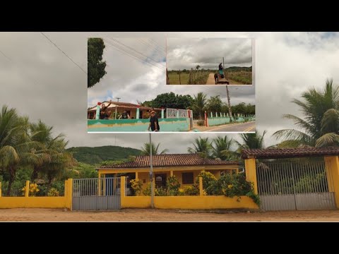 F. do Gado e Sítio barriguda até Estrela de Alagoas. AL. 31/03/2026