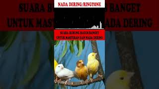 Download lagu NADA DERING|RINGTONE|MASTERAN BURUNG SUARA KICAUAN KENARI GACOR TEMBAKAN KASARAN PART-2 mp3 Download lagu NADA DERING|RINGTONE|MASTERAN BURUNG SUARA KICAUAN KENARI GACOR TEMBAKAN KASARAN PART-2 mp3