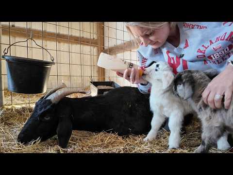 EMERGENCY STRIKES - This Couldn't Happen At A Worse Time