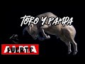 Almafuerte Toro y pampa ( Audio Letra )