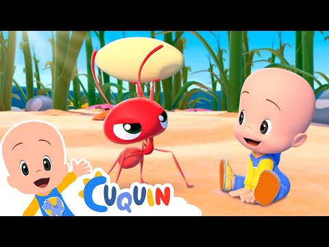 Los insectos chiquititos 🐜🐛🐝 Canciones infantiles para bebés con Cleo y Cuquín