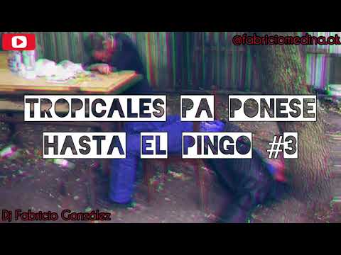 TROPICALES MOLESTOS #3 - dj fabri