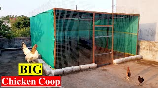 We Build a BIG Chicken Coop | Chicken Cage | Chicken House | Birds and Animals Planet